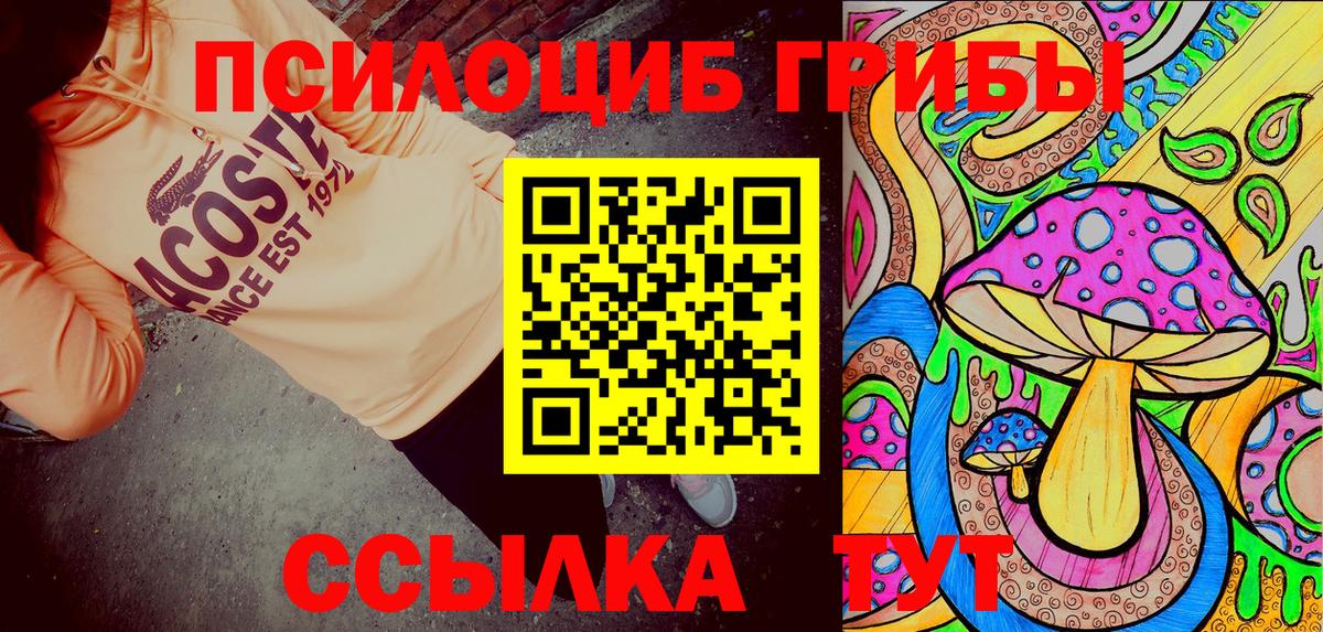 Галлюциногенные грибы Cubensis  Вход с VPN  Южноуральск 
